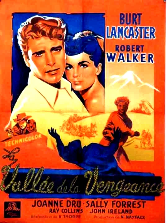 Affiche du film : La vallee de la vengeance