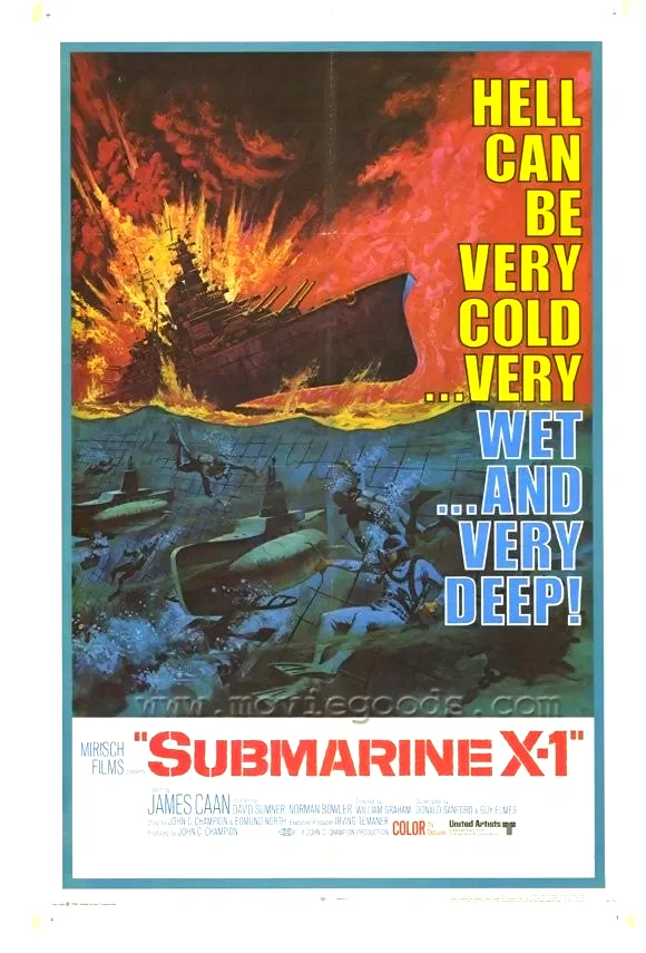 Affiche du film : Le raid suicide du x1