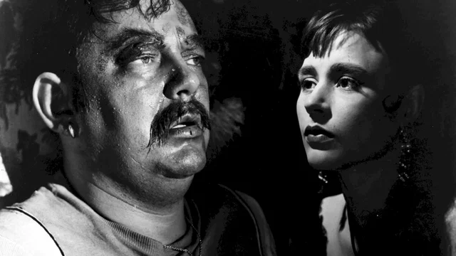 Photo 2 du film : La nuit des forains