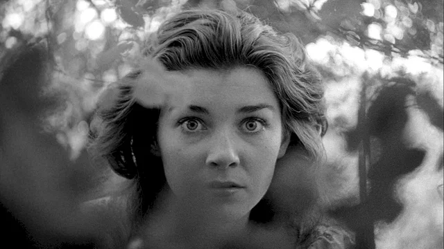 Photo du film : Fear and desire
