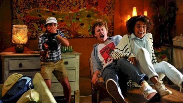 Affiche du film : Pas très normales activités 