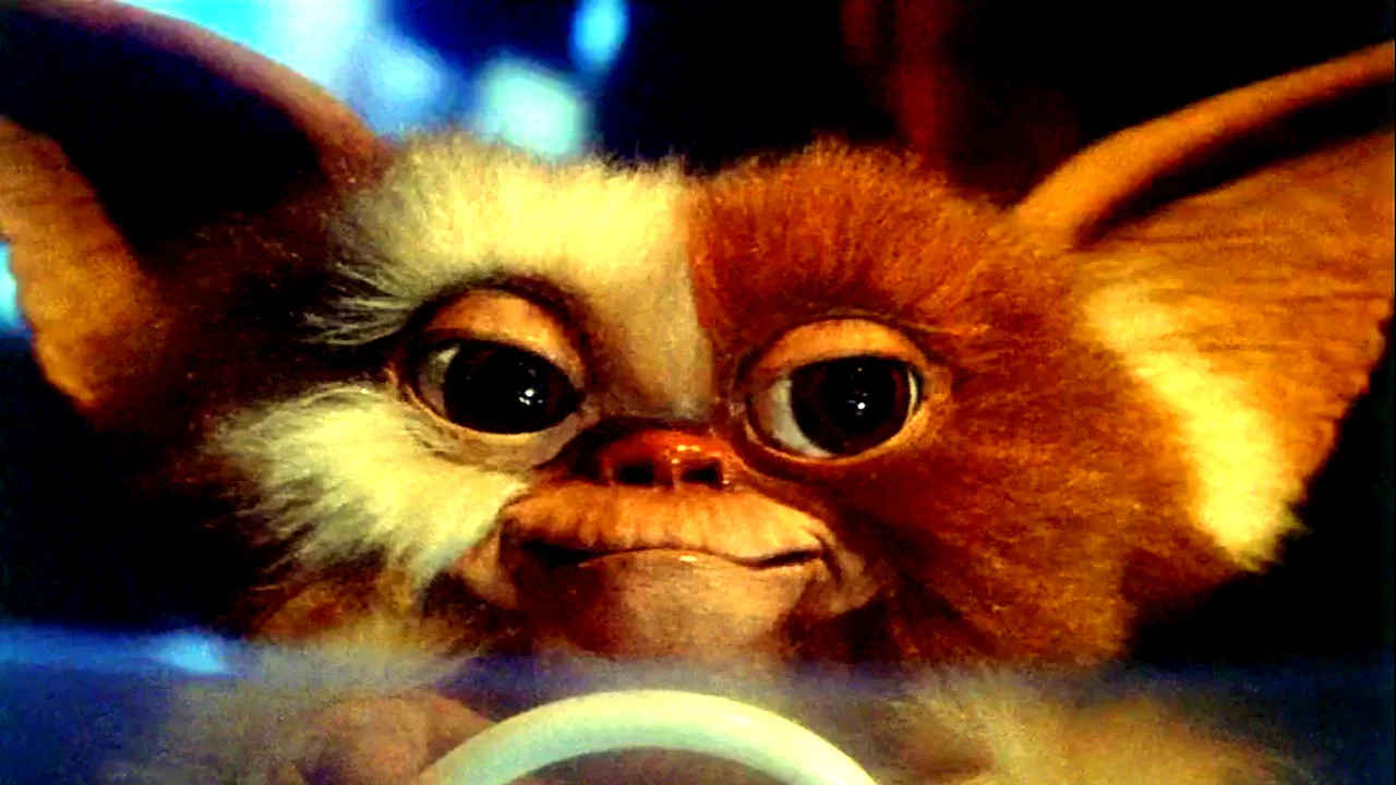 Photo 2 du film : Gremlins