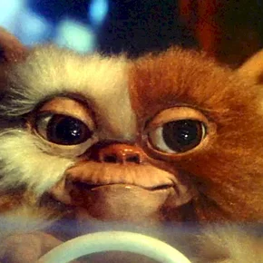 Photo du film : Gremlins