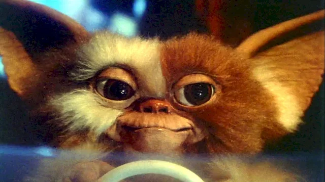 Photo du film : Gremlins