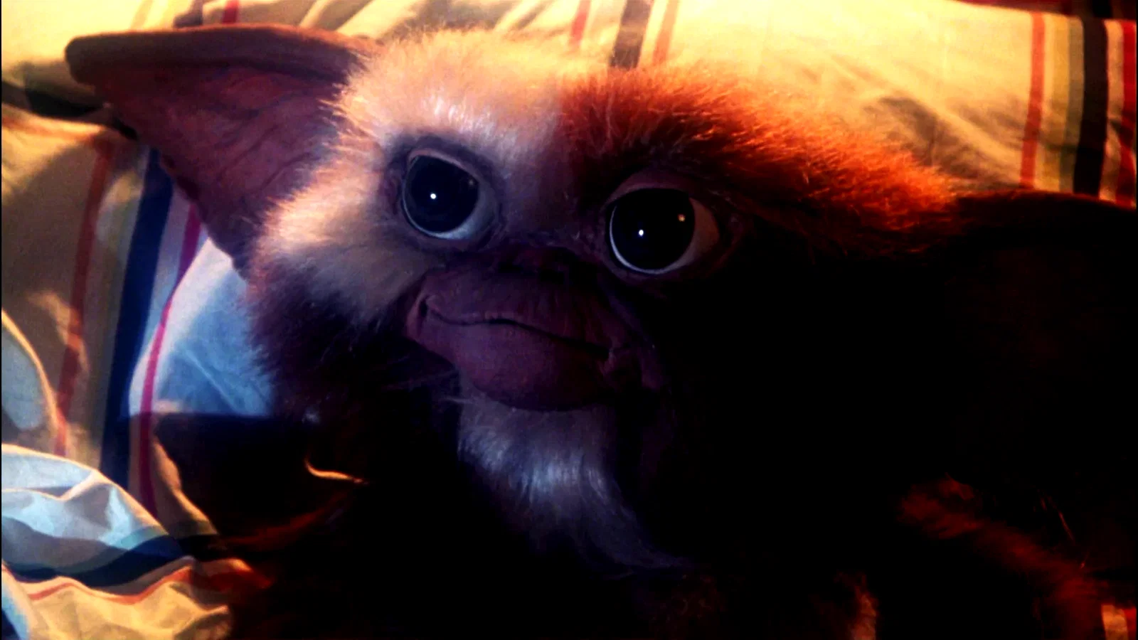 Photo 5 du film : Gremlins