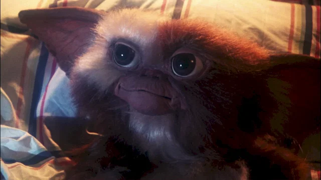 Photo du film : Gremlins