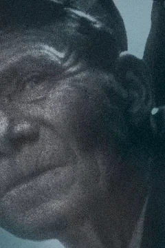 Affiche du film Shoah