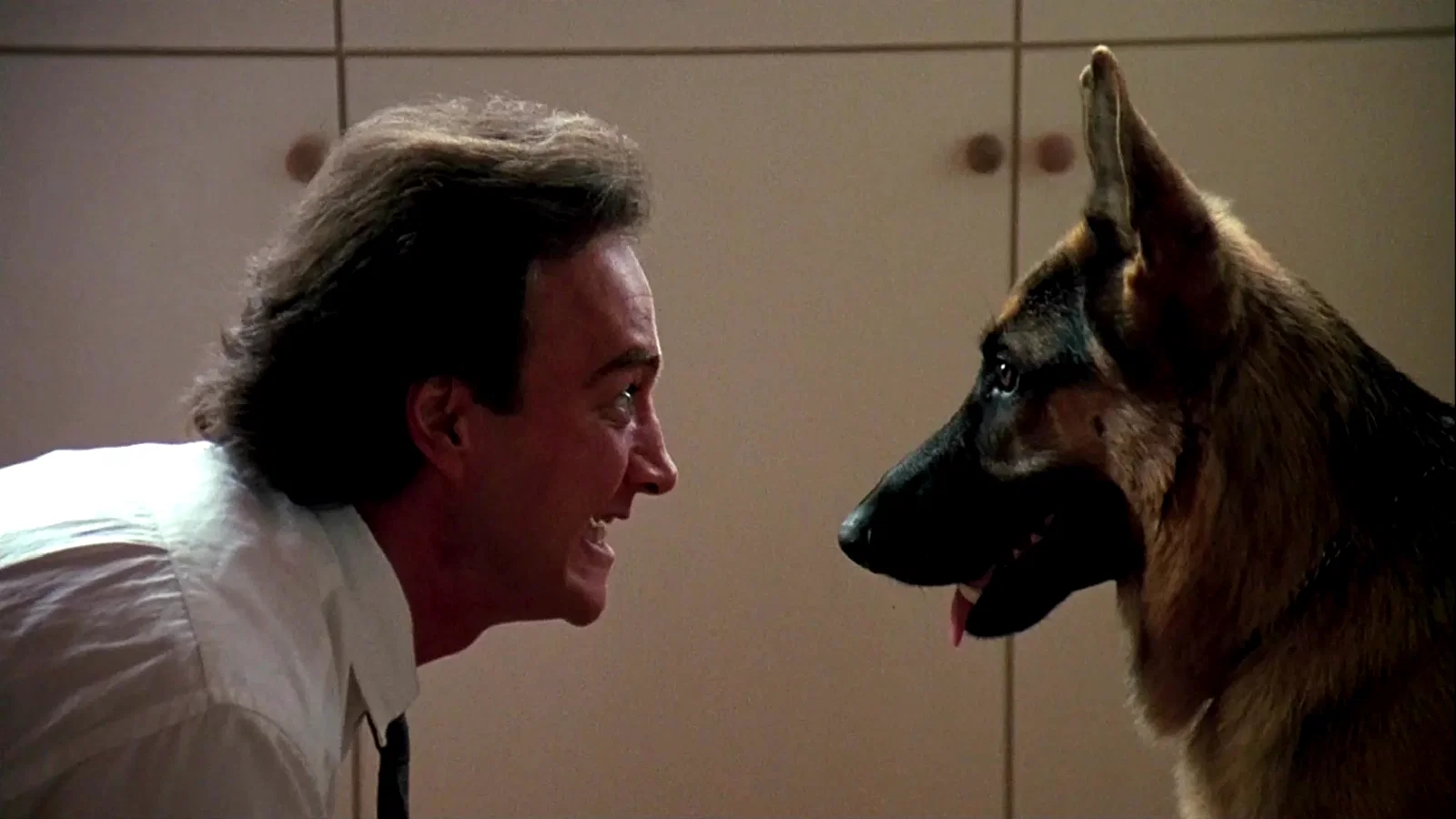 Photo 3 du film : Chien de flic