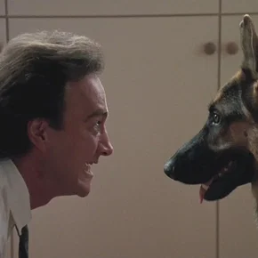 Photo du film : Chien de flic