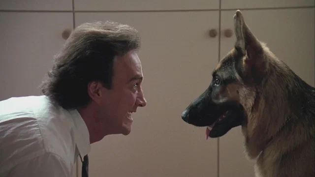 Photo 3 du film : Chien de flic