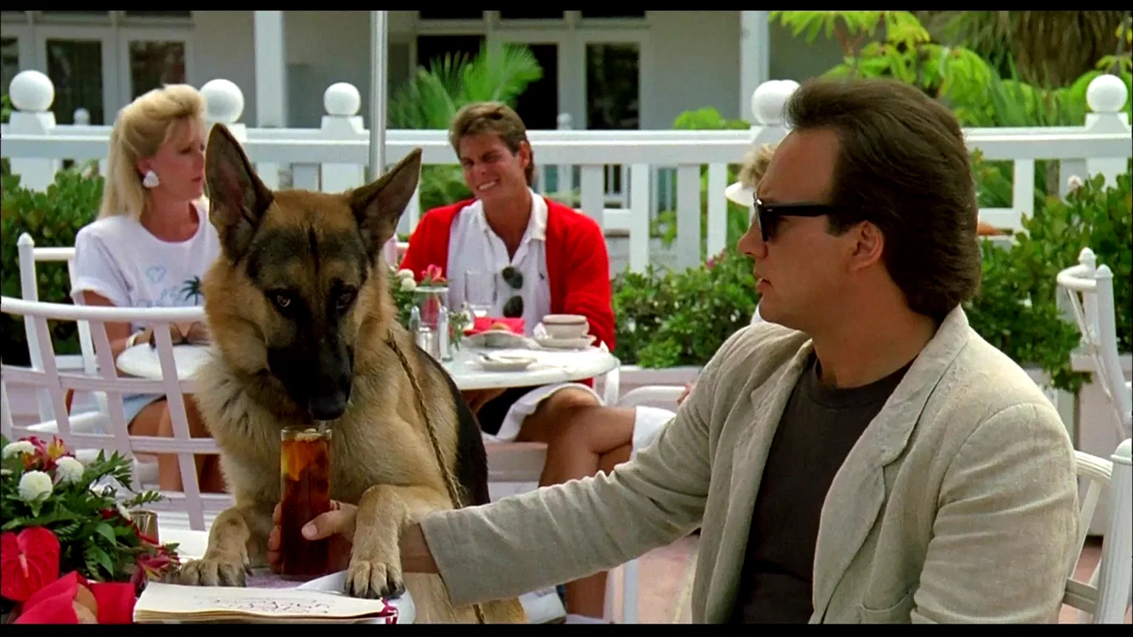 Photo 4 du film : Chien de flic
