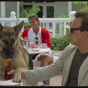 Photo du film : Chien de flic