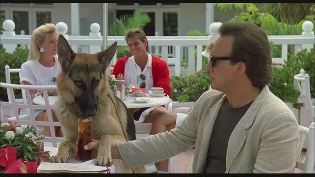 Photo 4 du film : Chien de flic