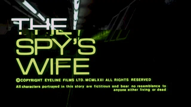 Affiche du film : Spys