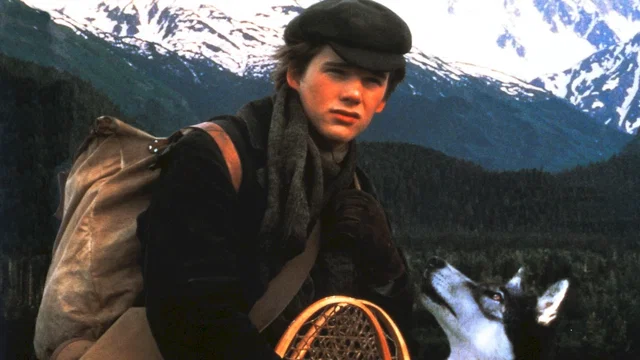 Photo 3 du film : Croc blanc