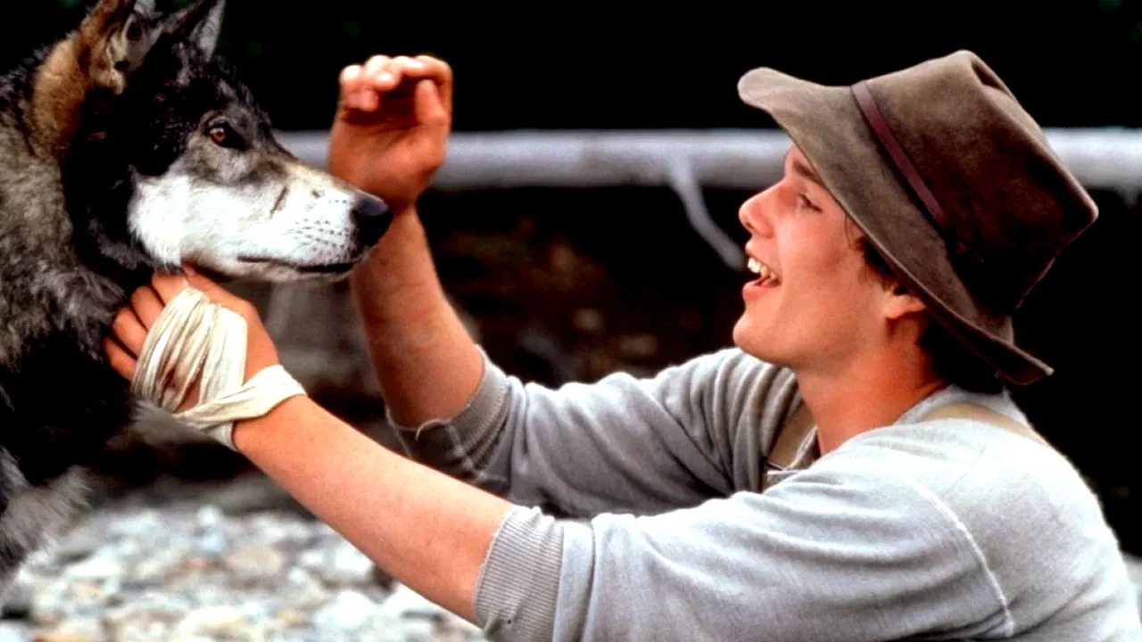 Photo 4 du film : Croc blanc