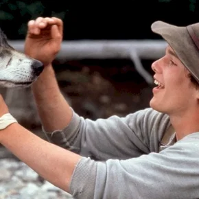 Photo du film : Croc blanc