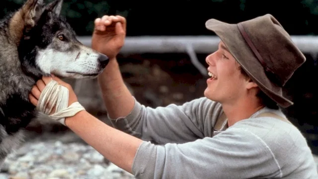 Photo 4 du film : Croc blanc
