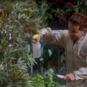 Photo du film : Bio-dome