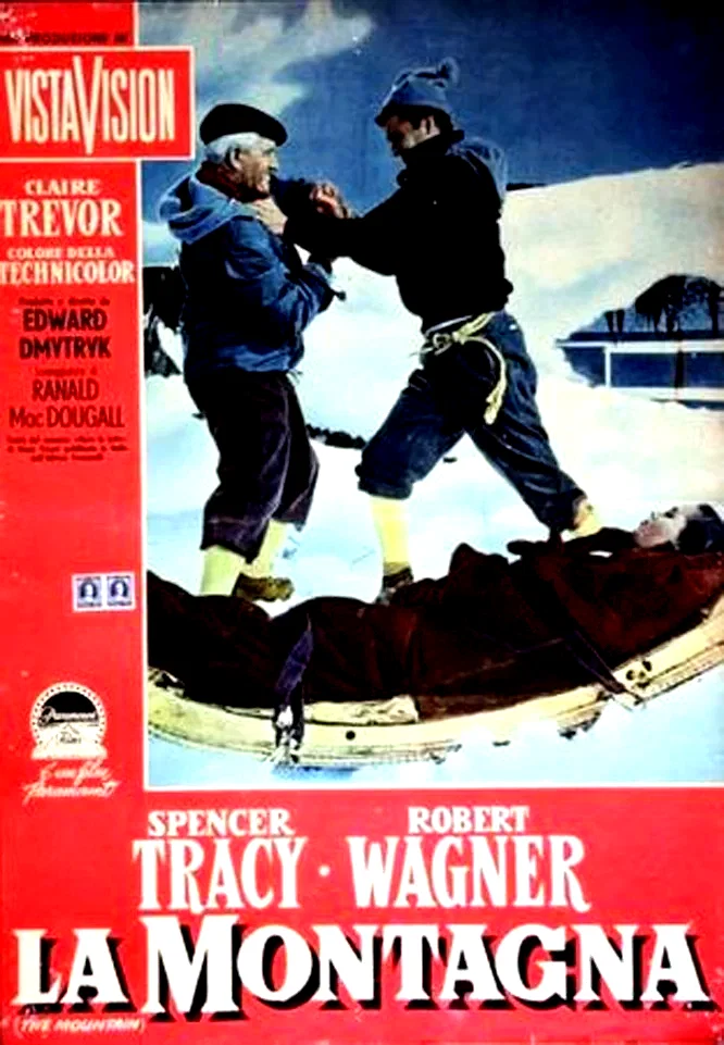 Affiche du film : La neige en deuil