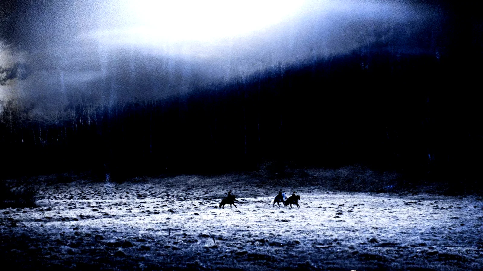 Photo 12 du film : Le Pacte des loups