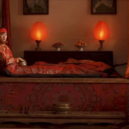 Miniature photo du film : Epouses et concubines