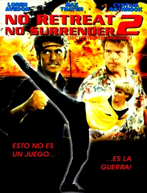 Affiche du film : Karate tiger