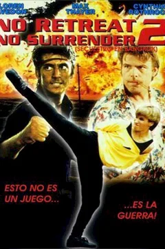 Affiche du film Karate tiger