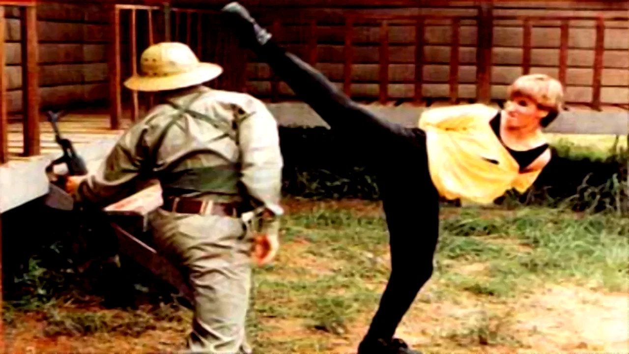 Photo 2 du film : Karate tiger