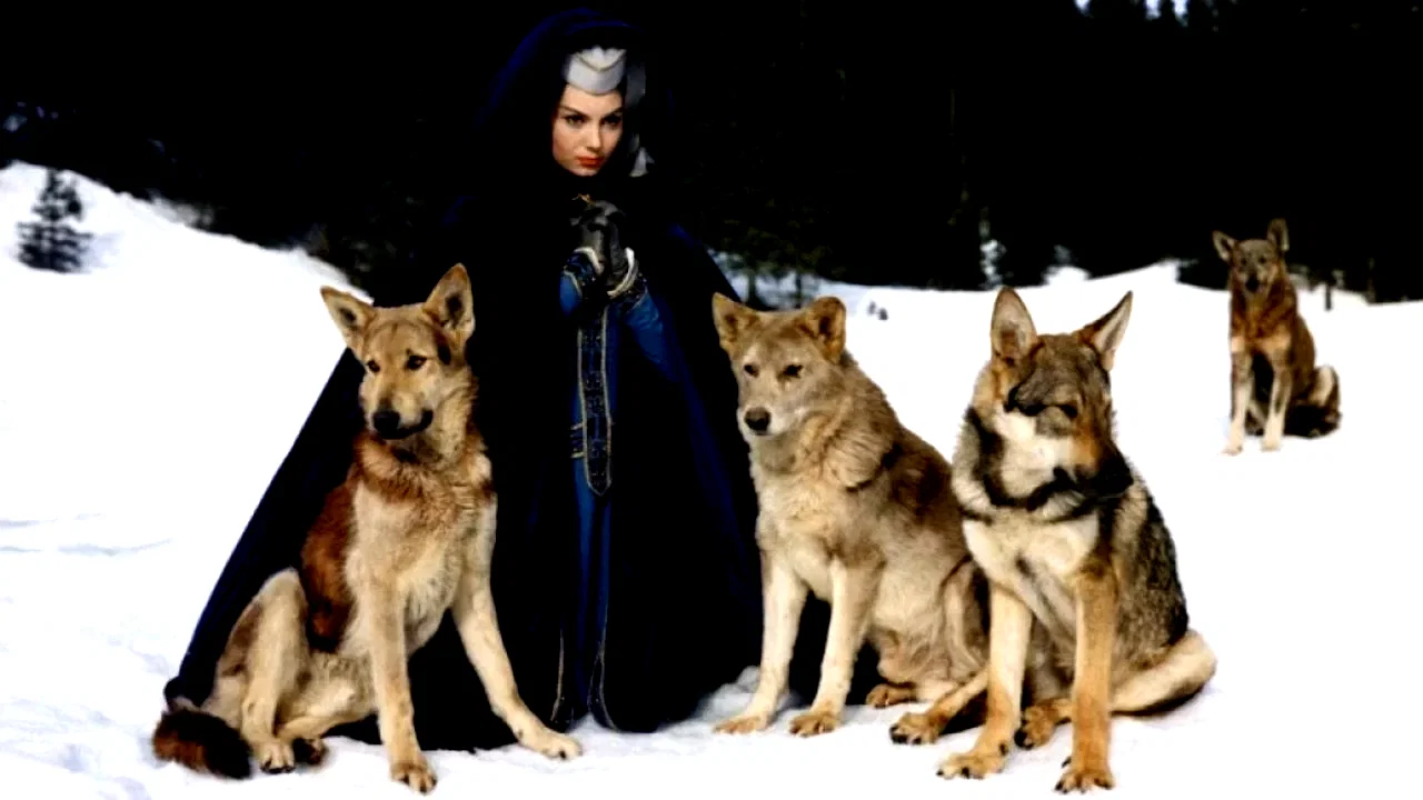 Photo 2 du film : Le miracle des loups