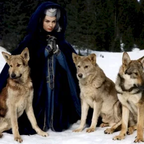 Photo du film : Le miracle des loups