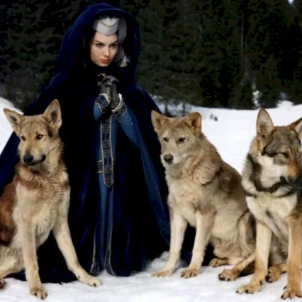 Miniature photo du film : Le miracle des loups