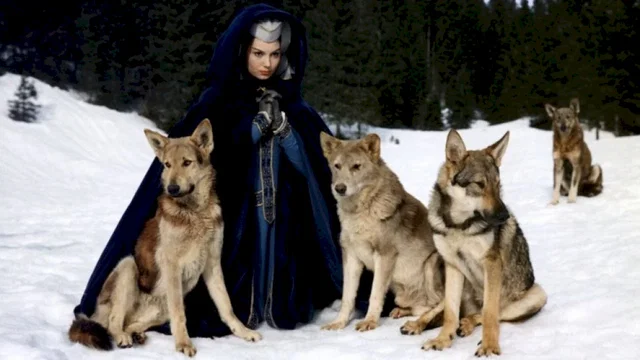 Photo 2 du film : Le miracle des loups