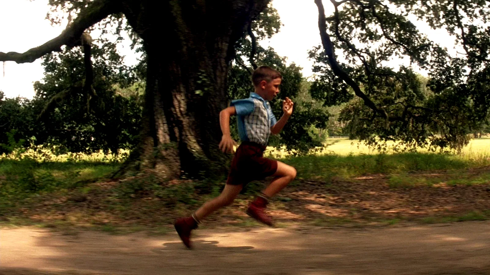 Photo 4 du film : Forrest Gump