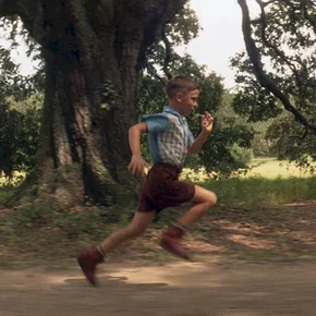 Photo du film : Forrest Gump