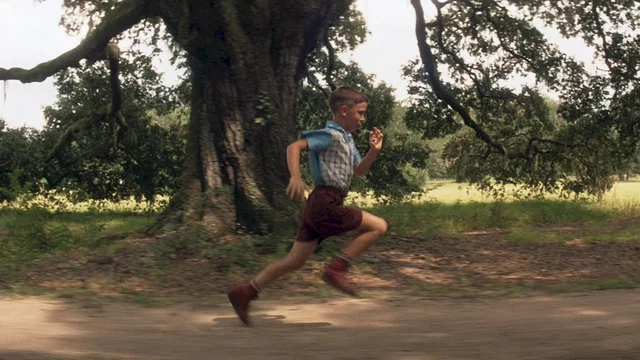 Photo du film : Forrest Gump