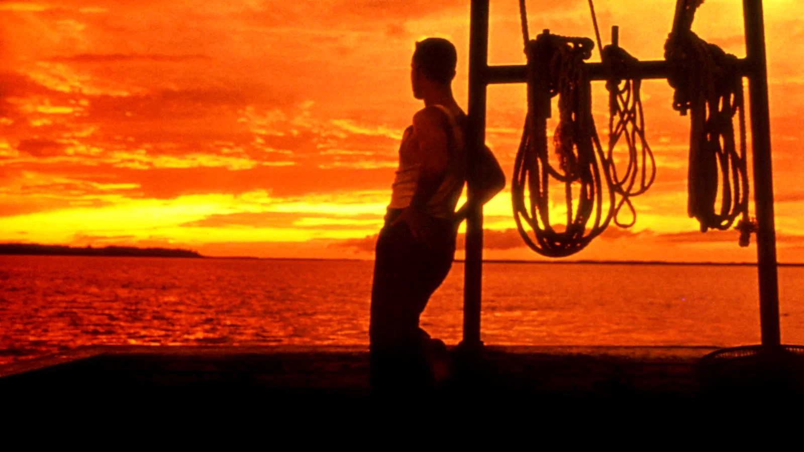 Photo 9 du film : Forrest Gump