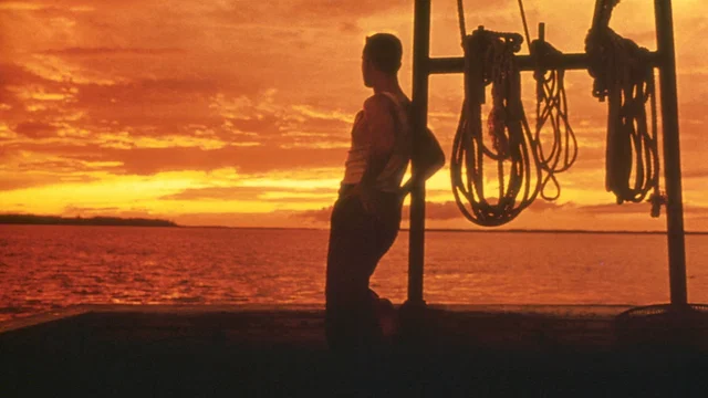 Photo du film : Forrest Gump