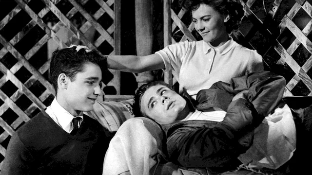 Photo du film : La fureur de vivre