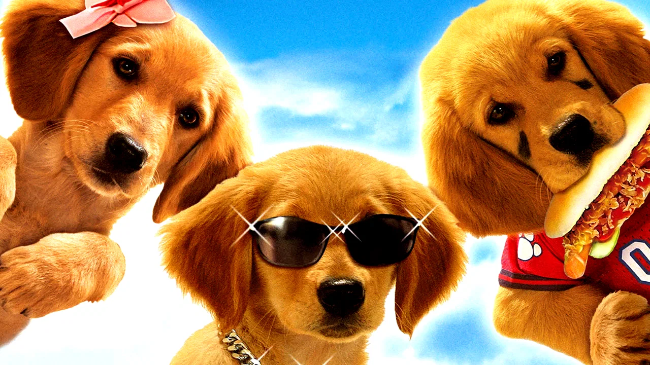 Affiche du film : 5 Toutous prêts à tout