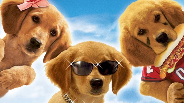 Affiche du film : 5 Toutous prêts à tout