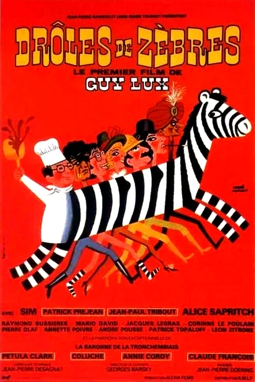 Affiche du film : Drôles de zèbres