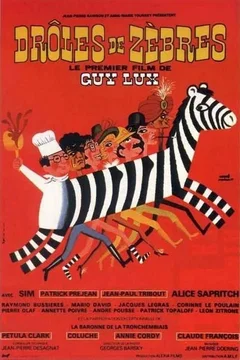 Affiche du film Drôles de zèbres