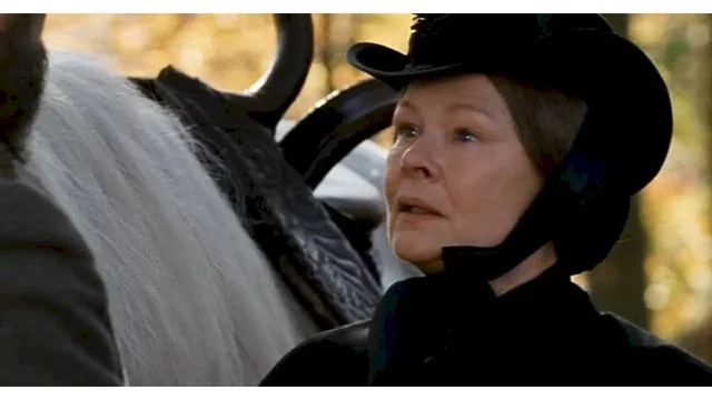 Photo du film : La dame de windsor
