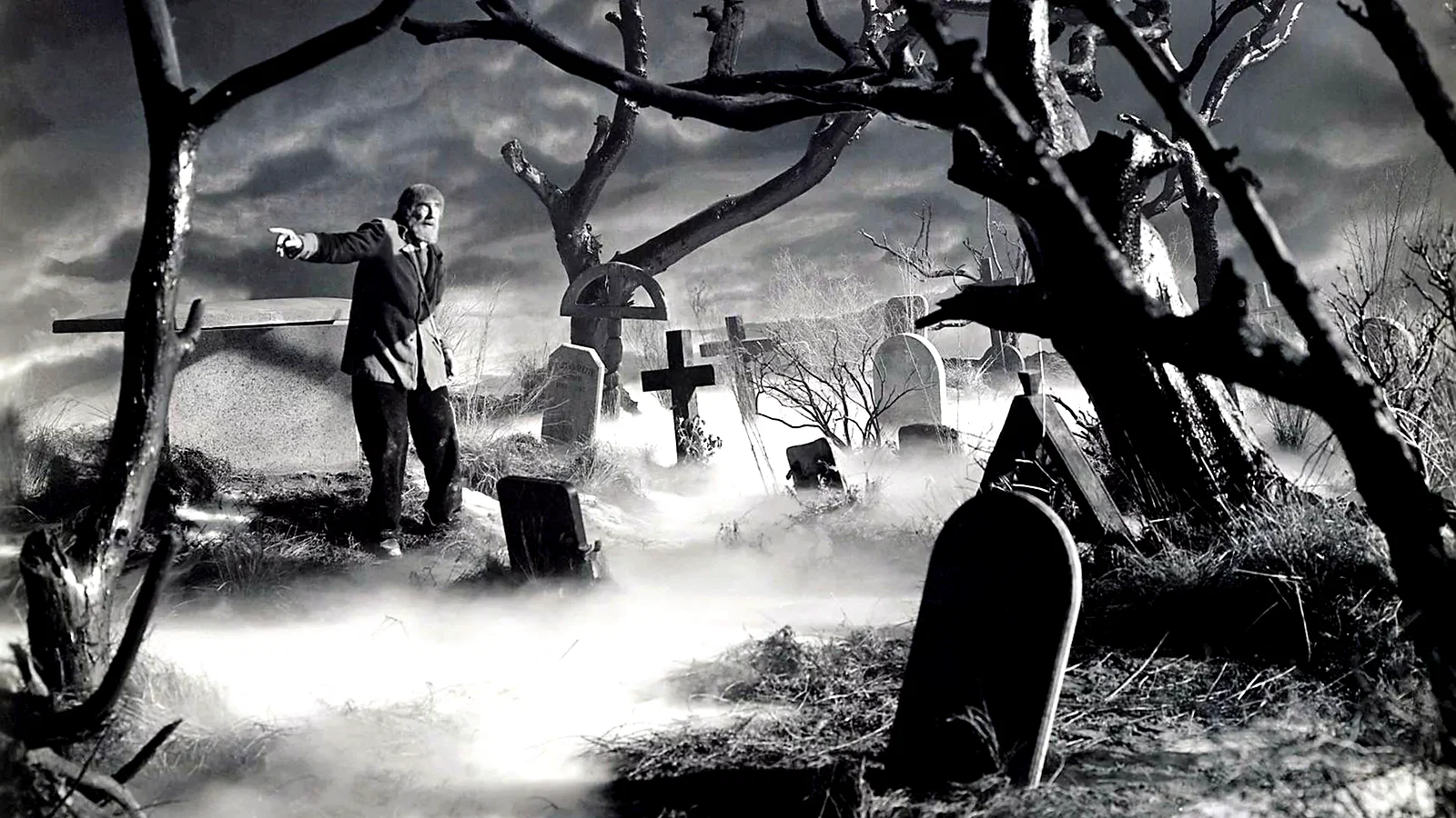 Photo du film : Le fils de frankenstein
