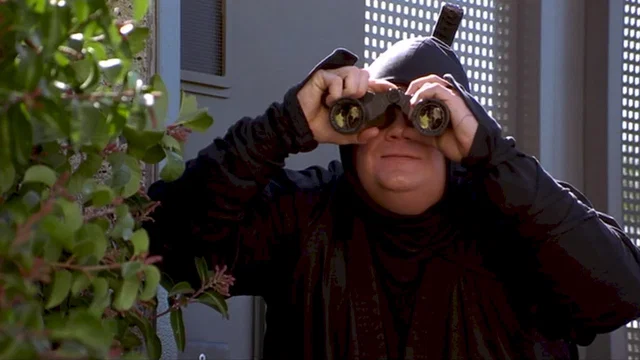 Affiche du film : Le ninja de beverly hills