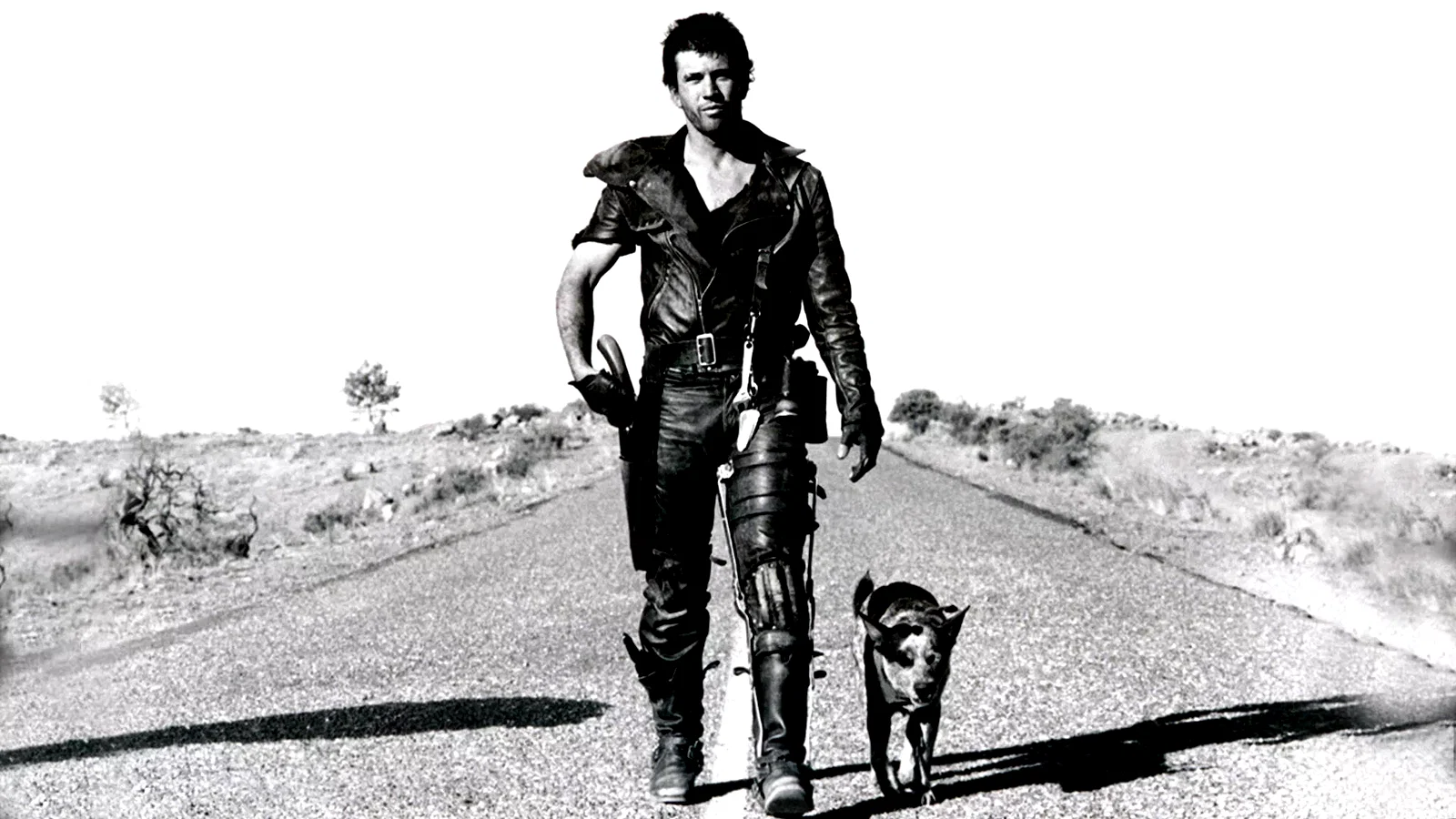 Photo 4 du film : Mad Max II
