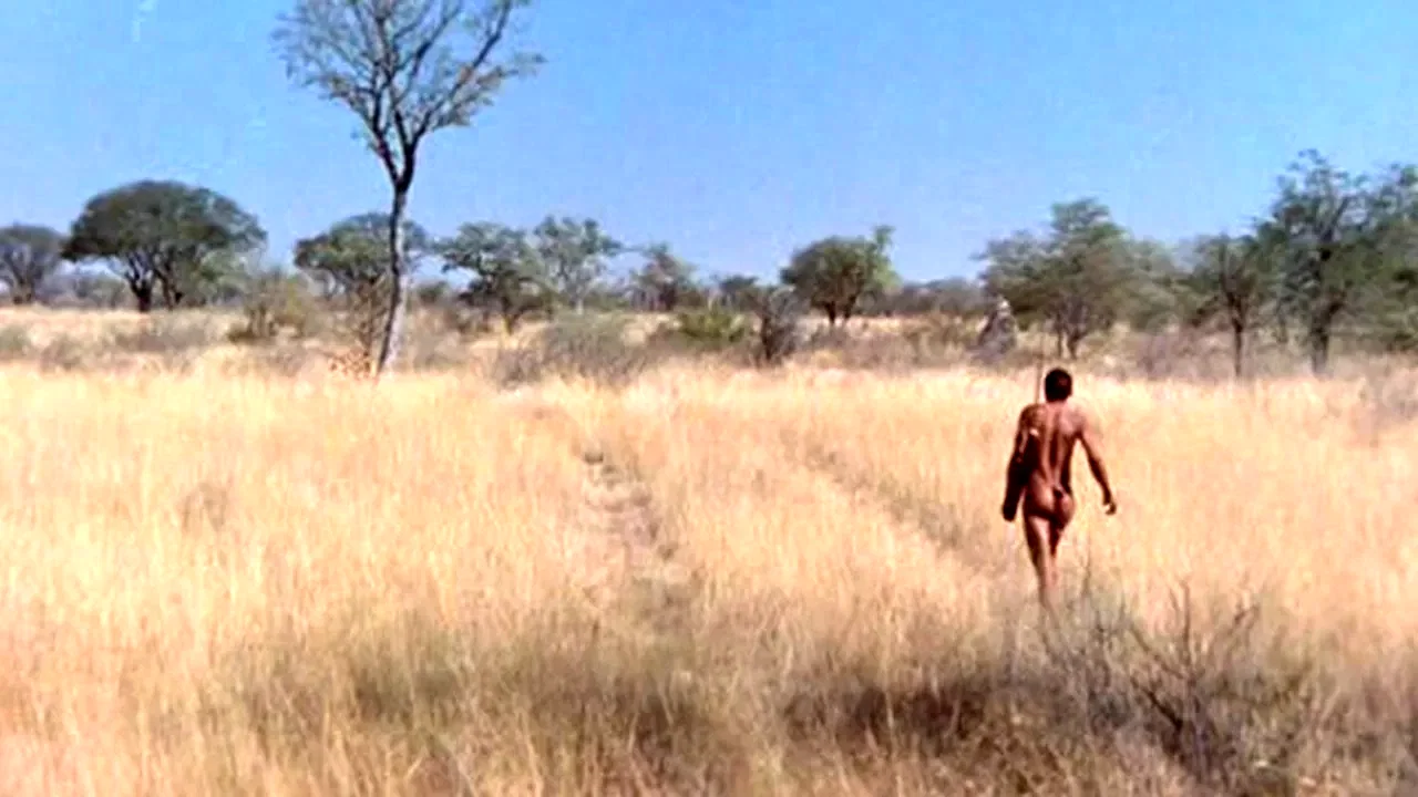 Photo 3 du film : Les dieux sont tombes sur la tete 2