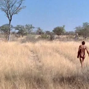 Photo du film : Les dieux sont tombes sur la tete 2