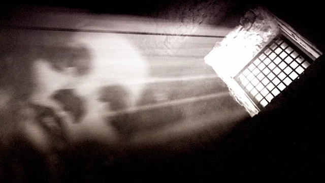 Photo du film : Le baiser de la femme araignee